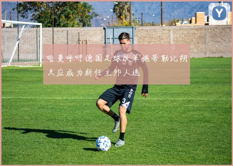 哈曼呼吁德国足球改革施蒂勒比朔夫应成为新任主帅人选